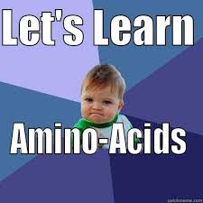 lets learn amino acids