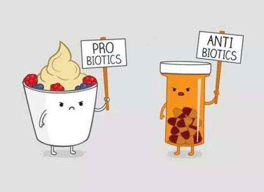 probiotics banner