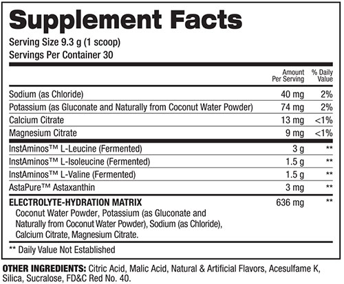 BCAA Re Igniter Supplement Facts