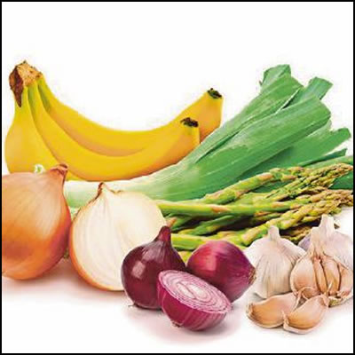 fat burning foods prebiotics