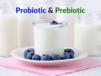 PREBIOTIC AND PROBIOTIC FOOD BANNER