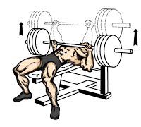 chest exercise bench