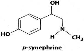 p synephrine hyde nitro x