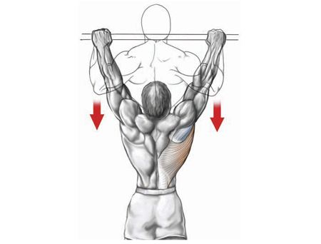 back workout pull-up