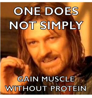 best protein powder-meme