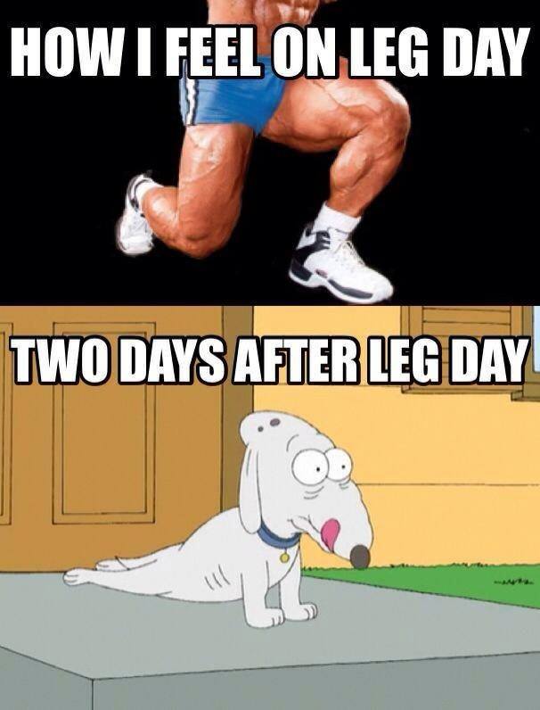leg day workout meme