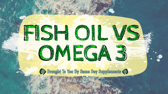 fish oil vs omega 3