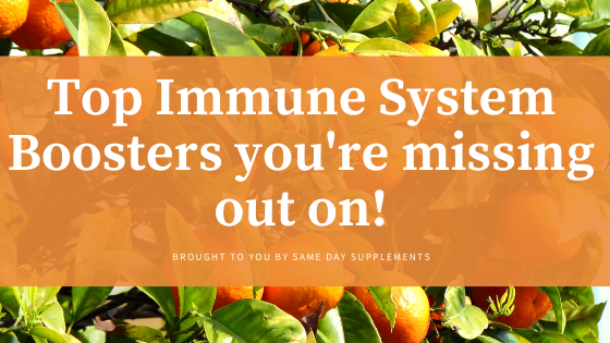 Top Immune System Boosters you're missing out on!