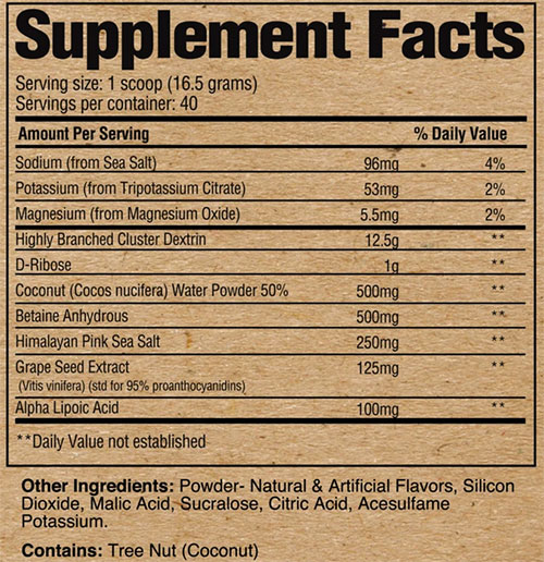 RAW Intra Workout Supplement Facts