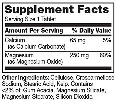 21st Century Magnesium Supplement Facts