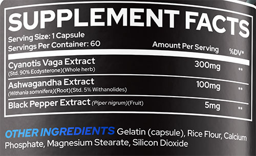 Raze Ecdysterone Supplement Facts Image