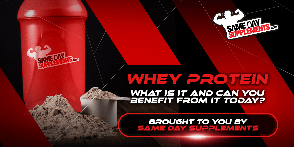 Whey Protein Blog Banner