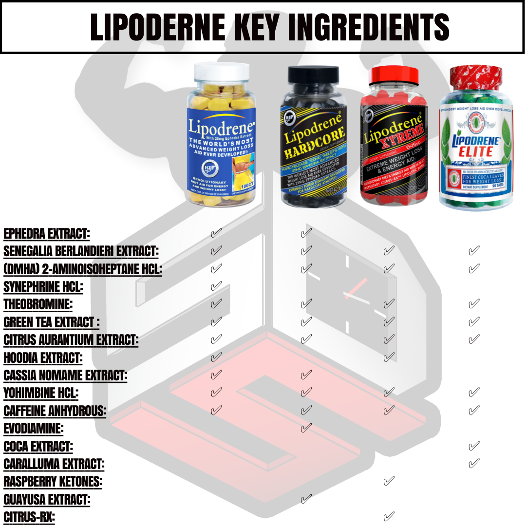 Lipodrene Key Ingredients