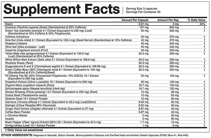 Heat Accelerated Supplement Facts Image