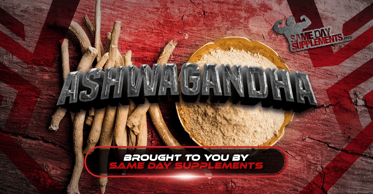 What Is Ashwagandha & Is It Good For You?