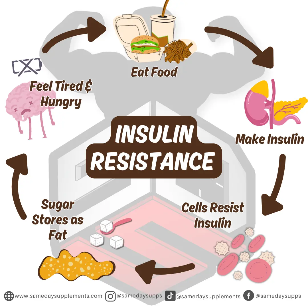 insulin resistance chart